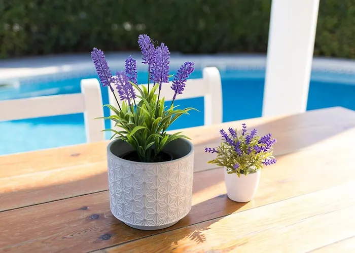 Chalet A 150M De La Playa Y Piscina Privada